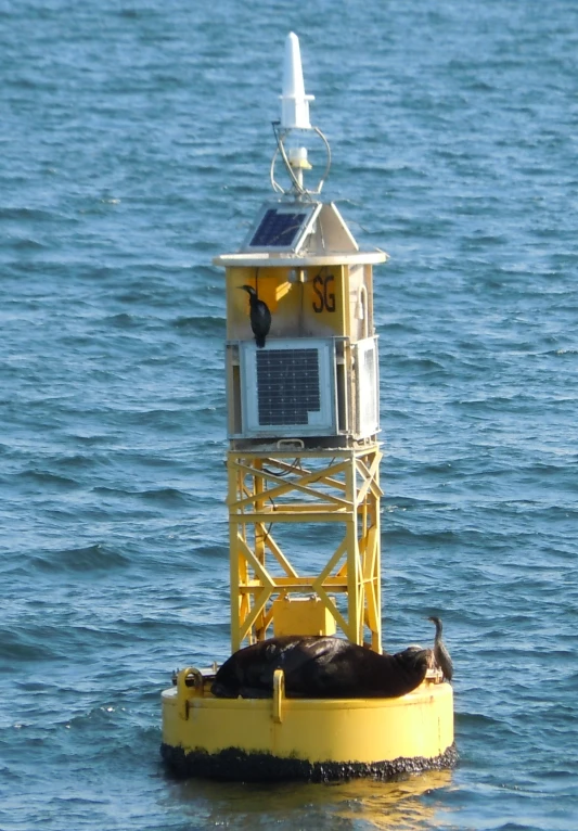 a buoy and antenna device floating in water