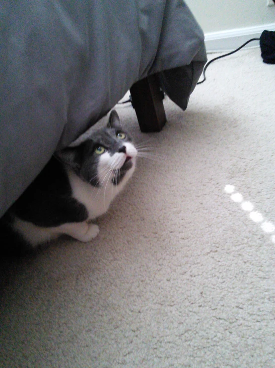 a cat hiding under a bed with some blankets on top