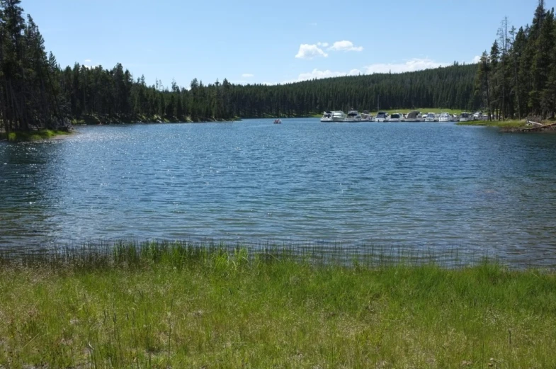 the trees are around the lake in a mountain area