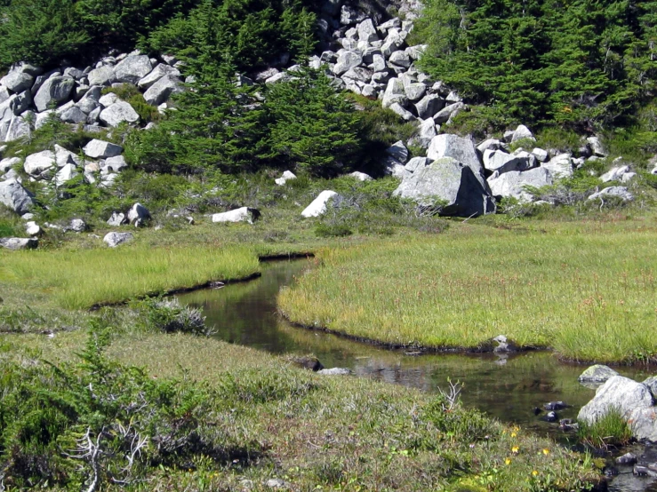 a stream surrounded by rocks and trees