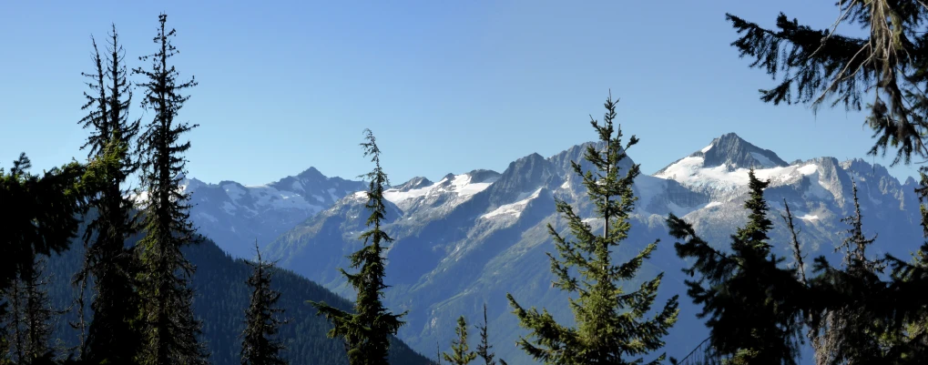 the mountains are covered with snow and trees