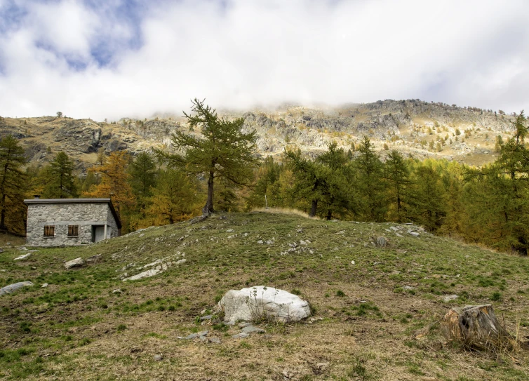 a green grassy hill with trees and a small house in the distance