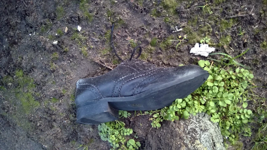 an object laying on the ground in a grass and dirt area