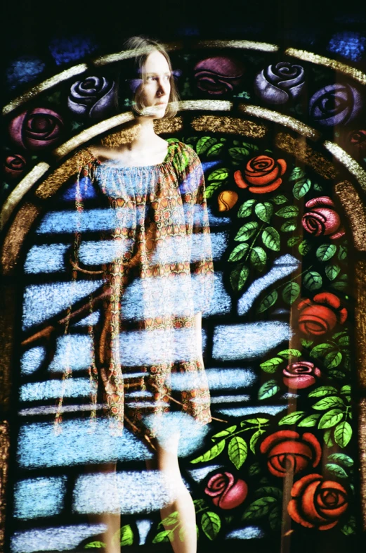 a woman's body with a beautiful long dress and rose pattern is shown on the stained glass