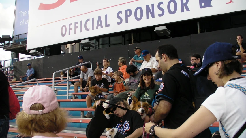 several people with dog in hands at a game