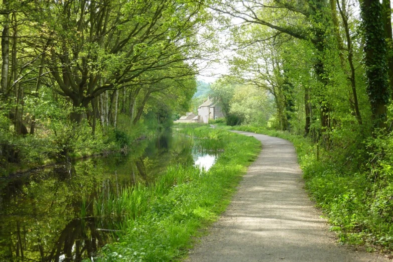 path through the forest along the water's edge