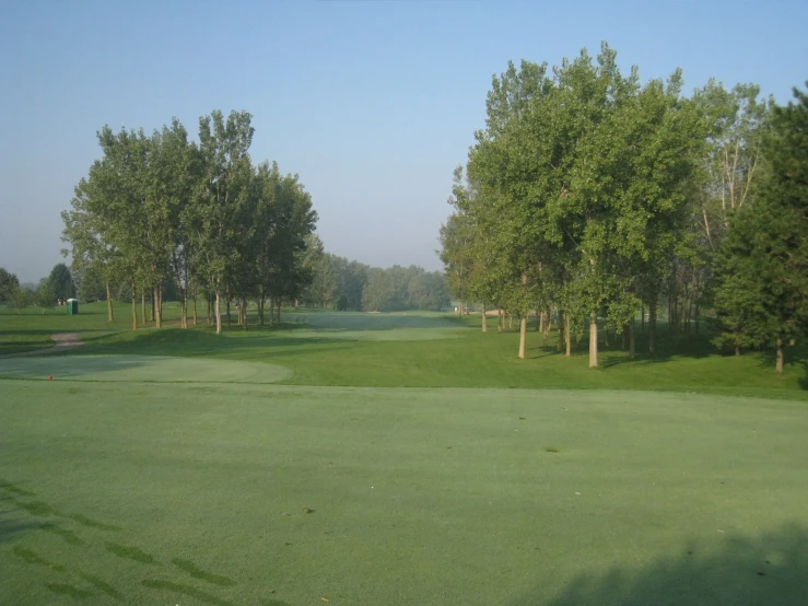 a large green golf course with trees on the side