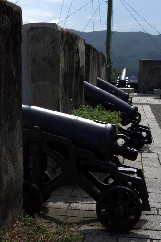 a row of large black cannon on display