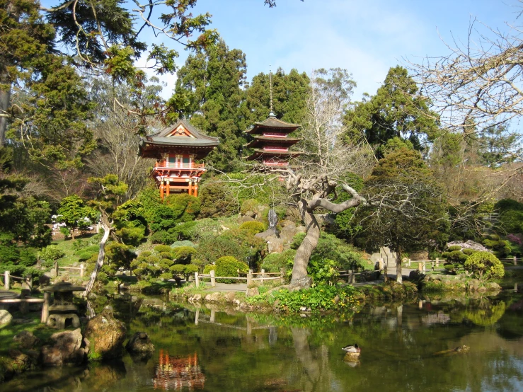 a pond surrounded by trees and buildings