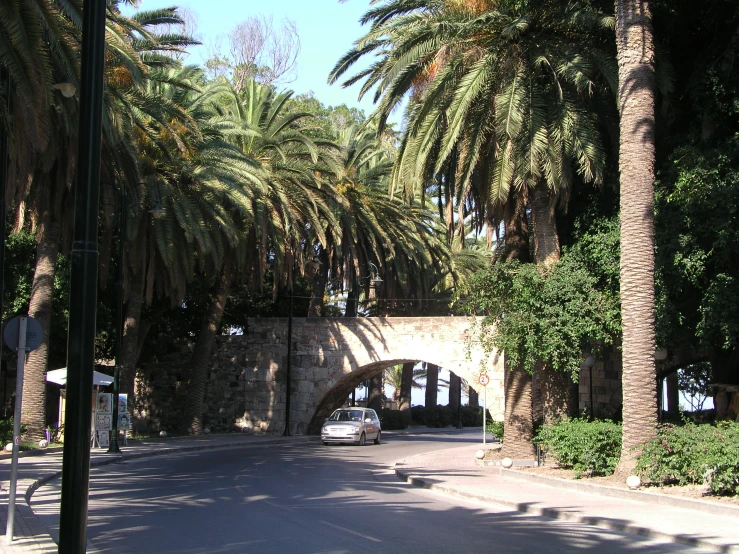 a palm tree lined road with a building behind it