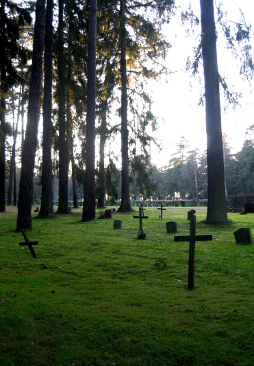 an image of cemetery with crosses in it