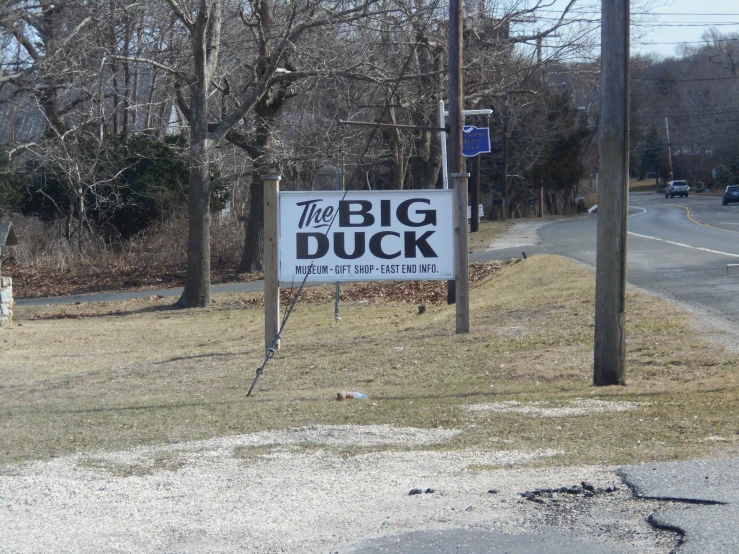 a sign for the big duck stands in the grass