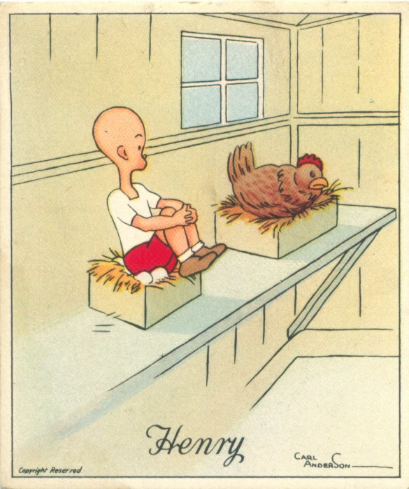 a boy sits on a bar looking at the hen