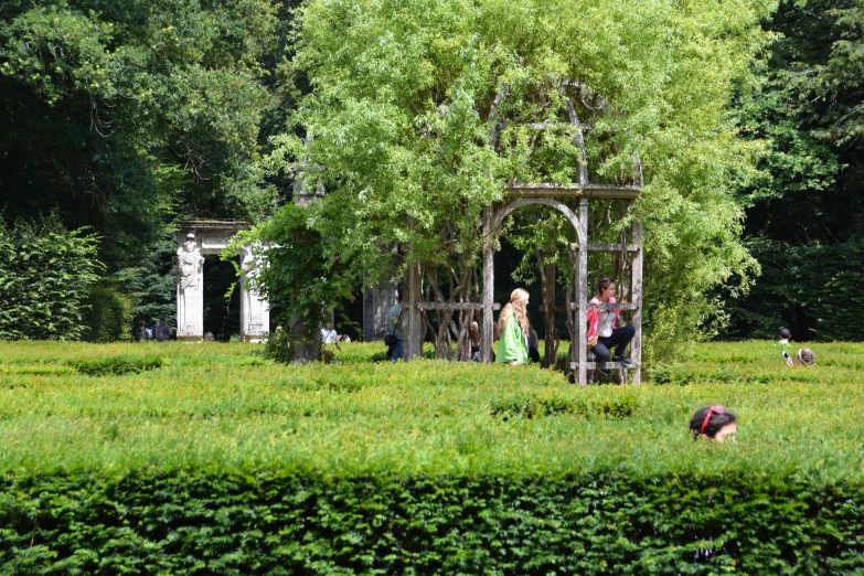 an image of a bunch of people in the park