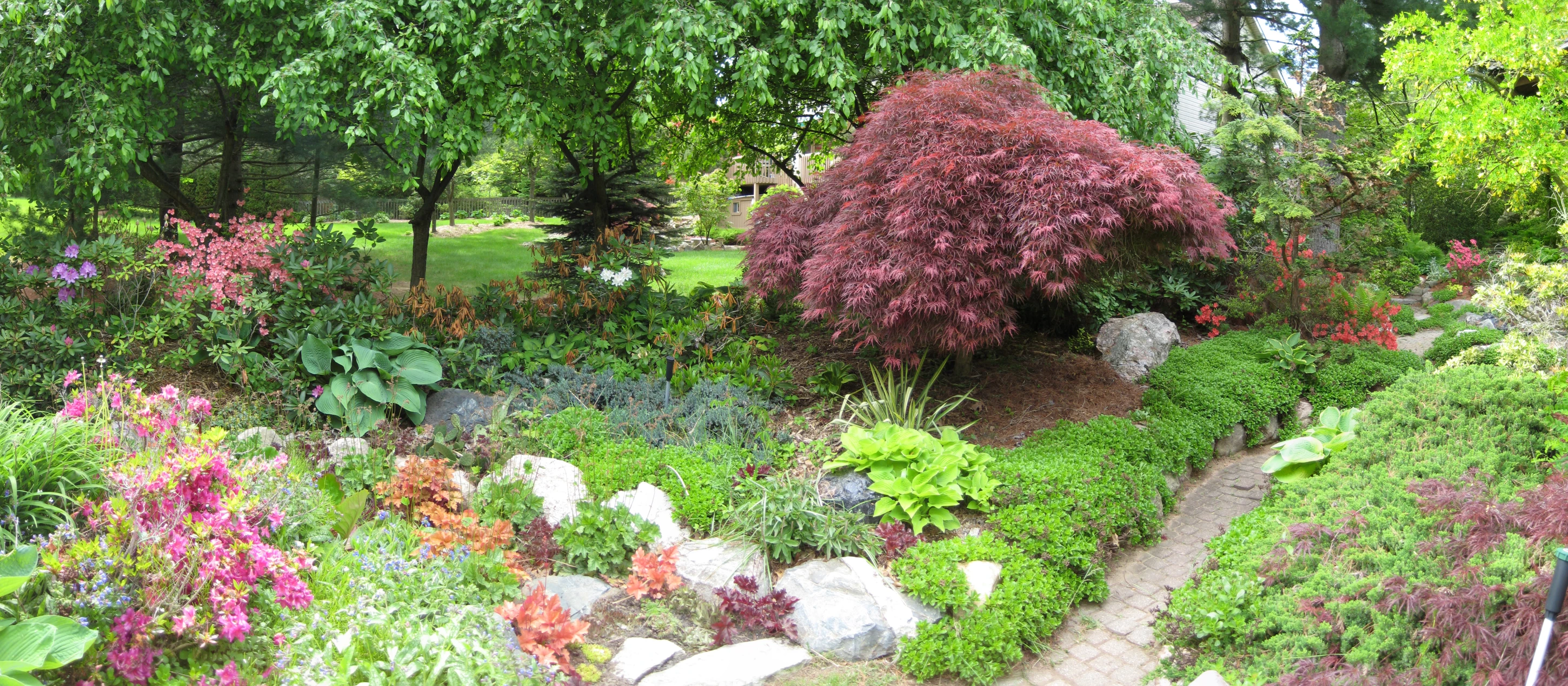 a grassy garden area with lots of trees and bushes