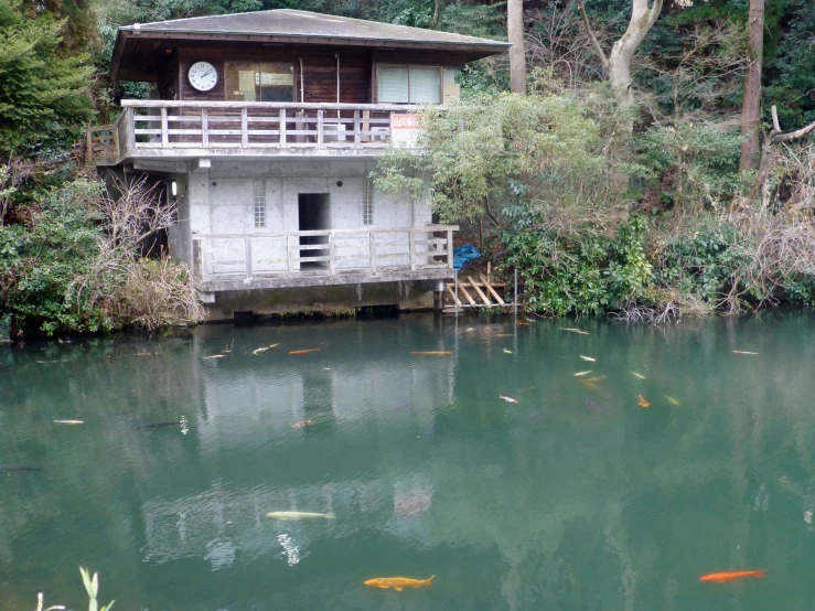 a house with lots of windows on top in the water