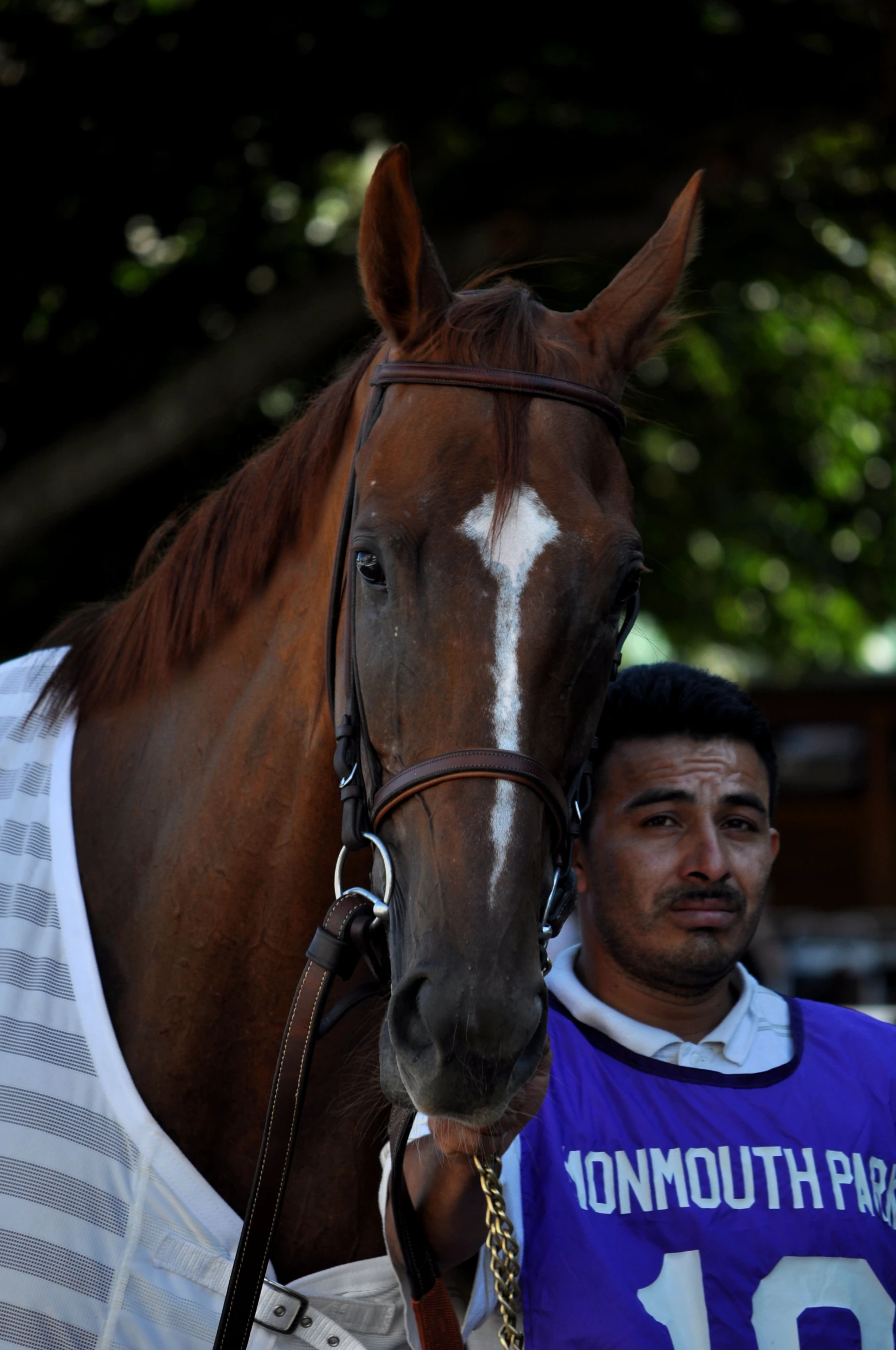 a man stands next to a horse that has just landed