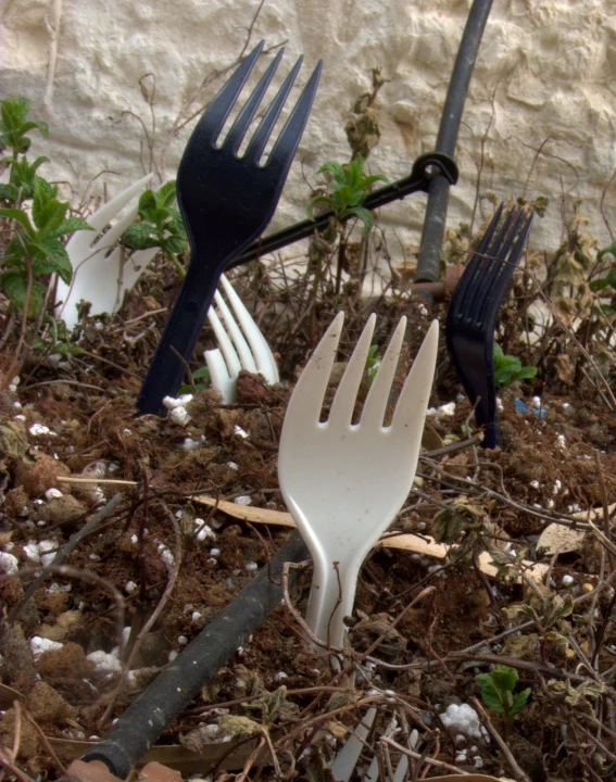 a group of forks sitting on top of dirt next to plants