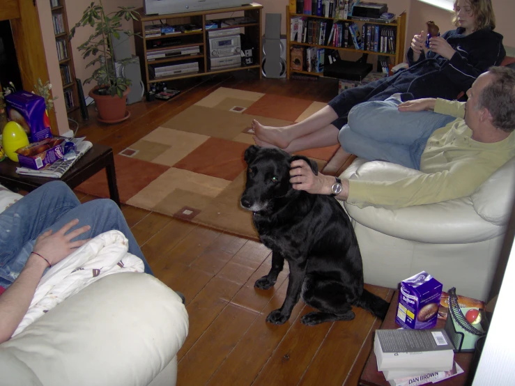 a large black dog sitting in front of a couple of people