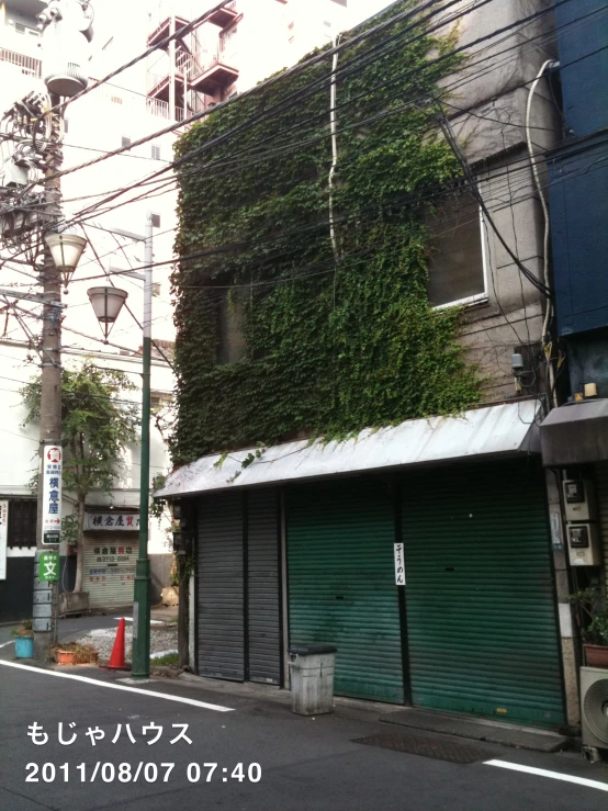 a view of a side of a building with plants growing all over it