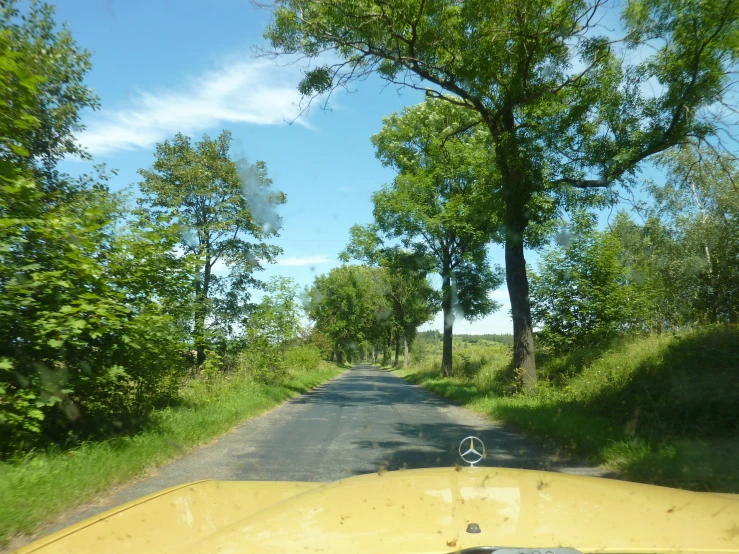 view from the dashboard of a vehicle traveling down a tree lined street