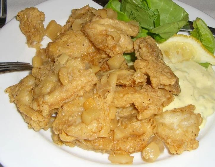 a dinner plate of fried chicken and a side salad