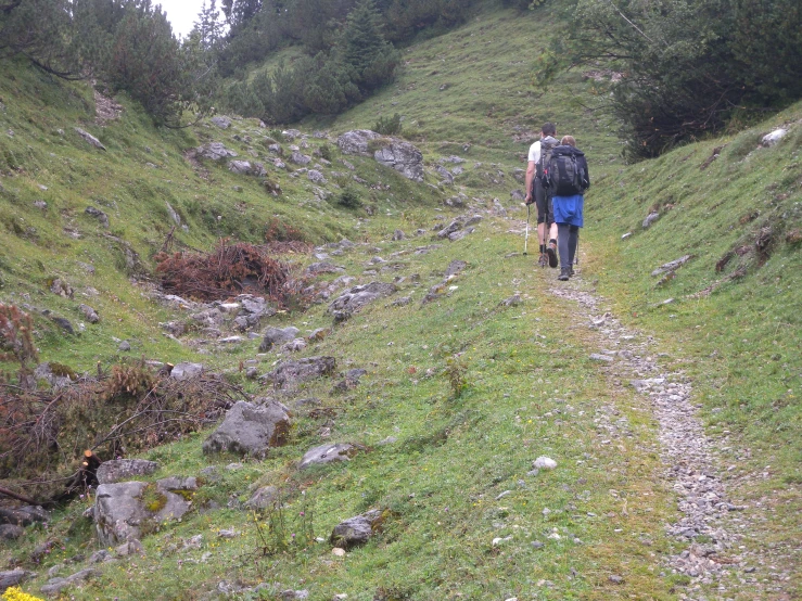 a man in the woods walking on a trail