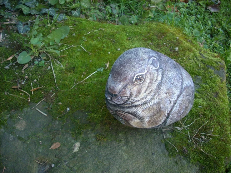 a rock sitting on top of a grass covered field