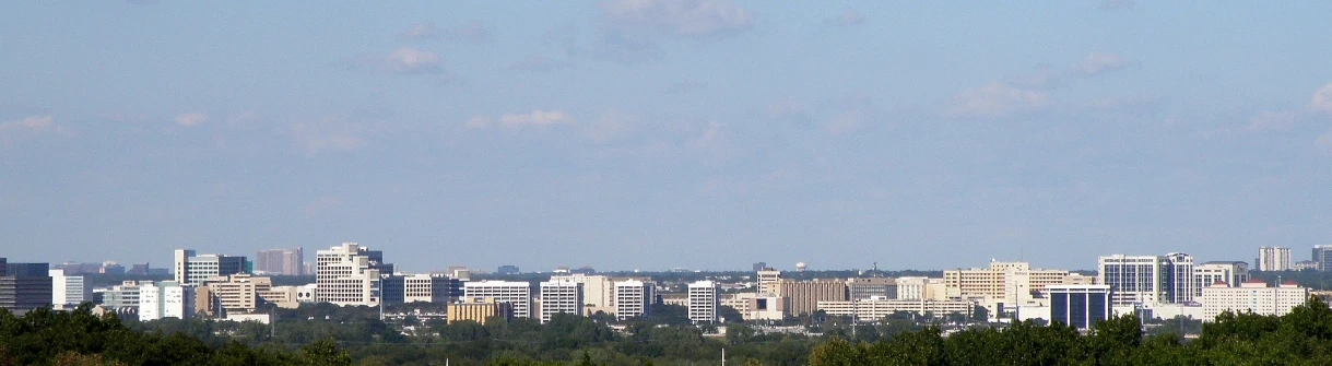 a skyline of trees is visible across from the buildings