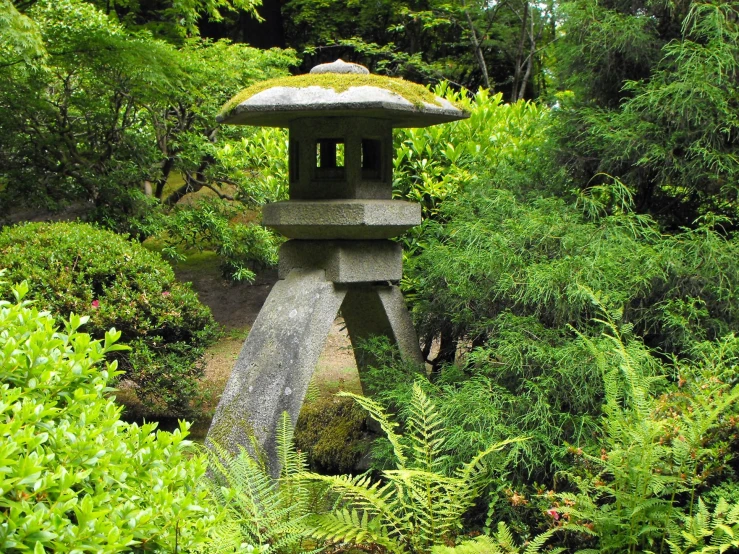 a rock pathway leads into a pond and oriental garden