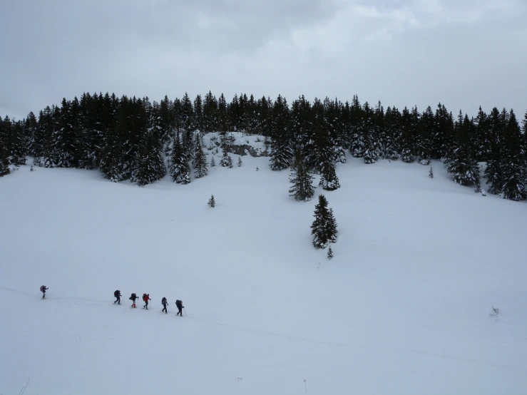 four people on skis are skiing down the hill