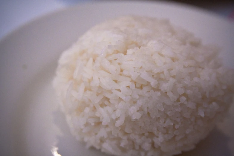 rice is placed on a plate next to a fork