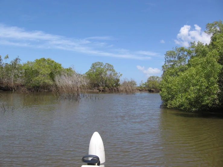 a white kayak is on the side of a flooded river