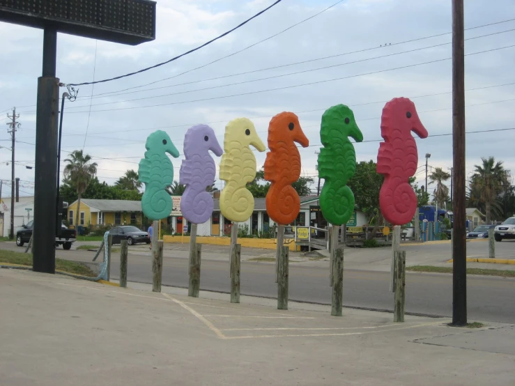 row of seahorses next to the curb in front of store
