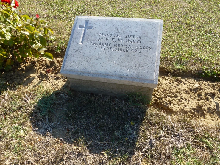 a cement grave sits in the grass near red roses