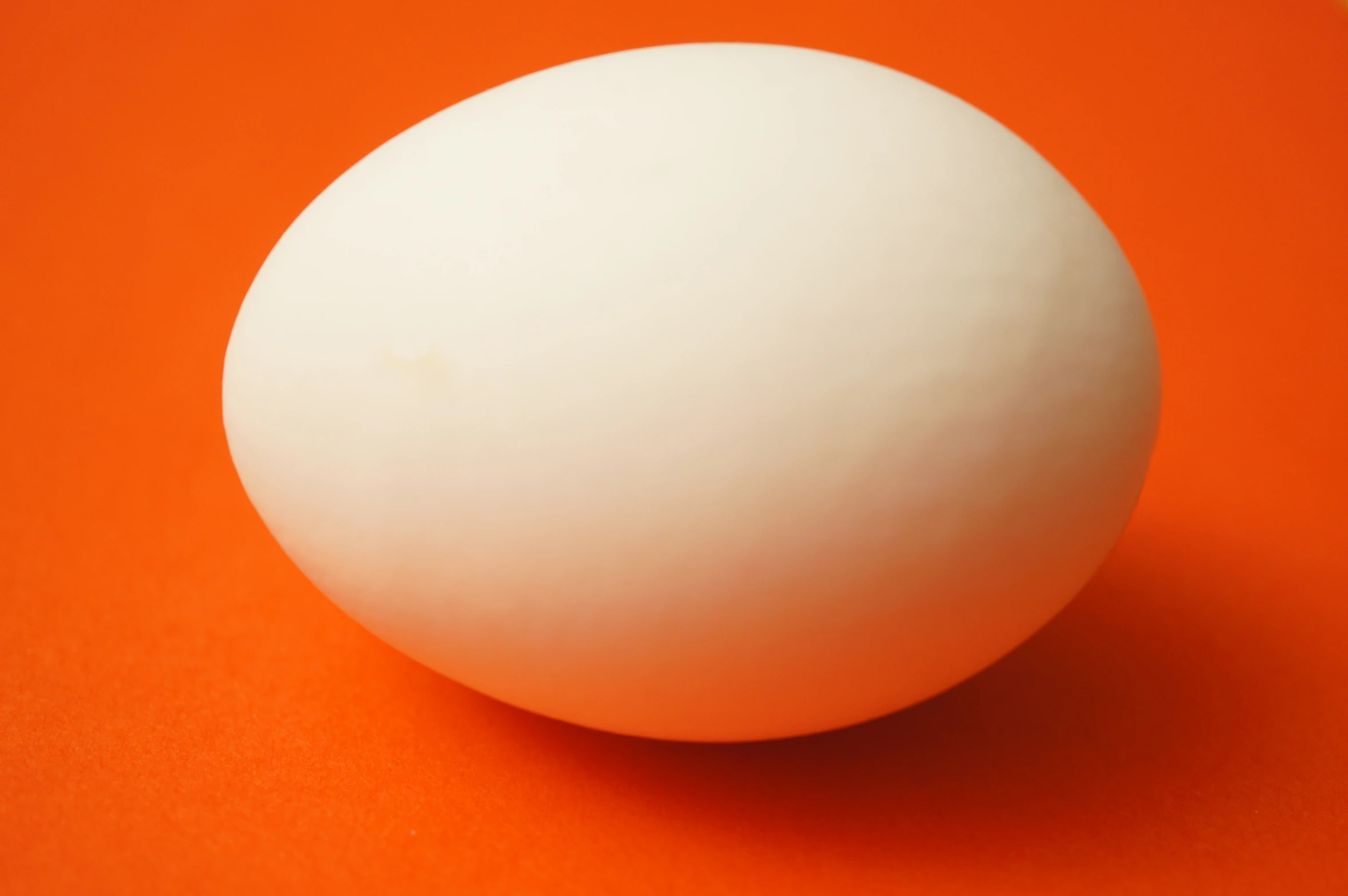 an orange and white background with a single egg on the bottom