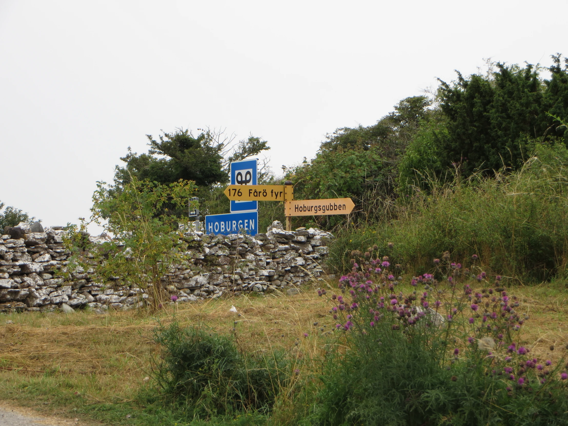 signs and landscaping are at the bottom of a hill