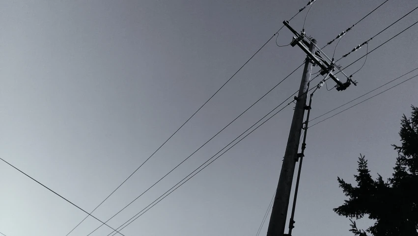 a telephone pole and power lines are seen against the clear sky