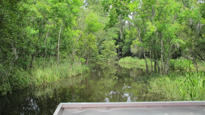 the view down the river is pretty from the canoe