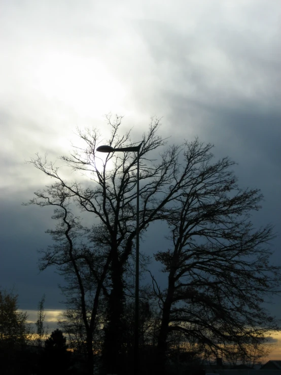 the sun is shining behind a leafless tree