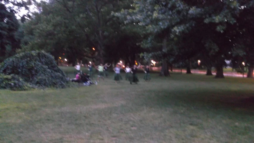 some people standing in a grass field near trees