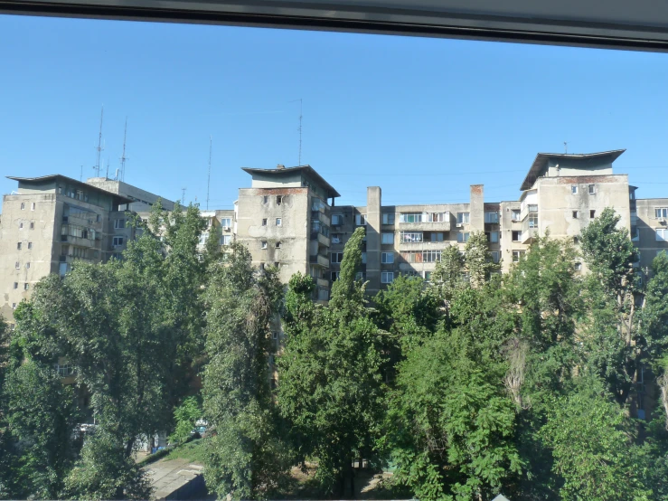 trees and buildings through a window with no people