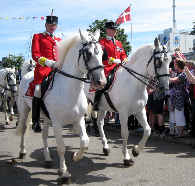 a group of people in british style dress uniform riding white horses