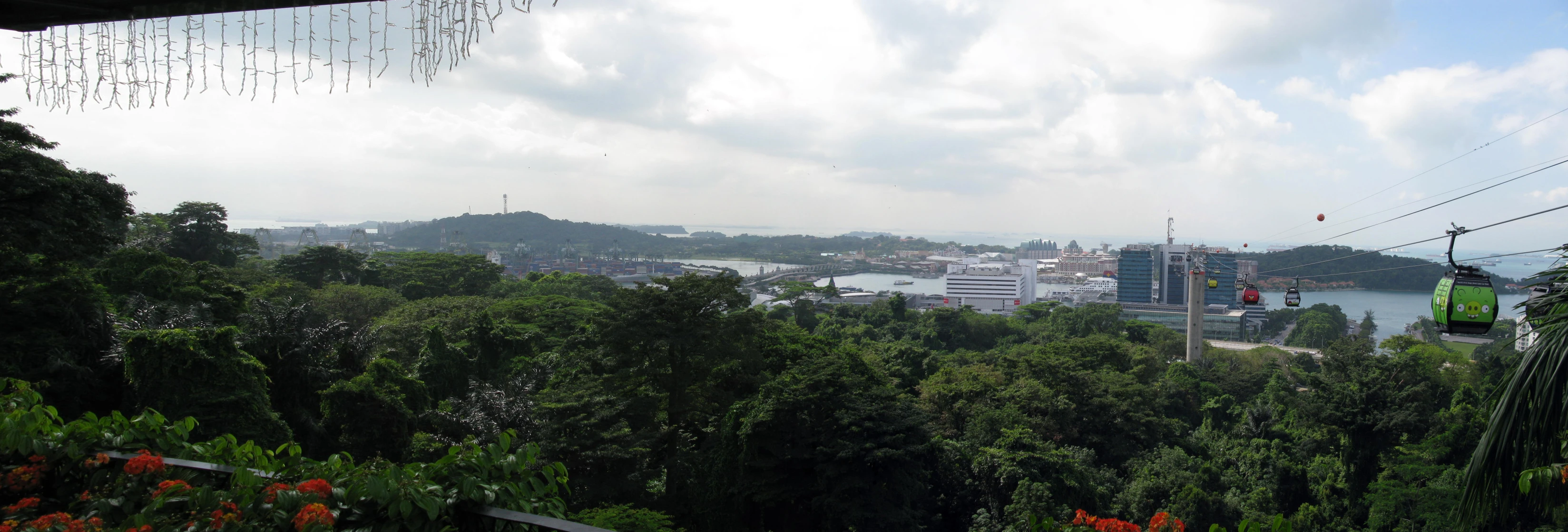 trees, clouds and buildings with the city in the background