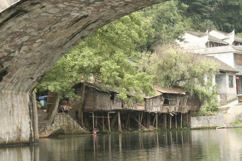 a tree grows out of the ground above a river