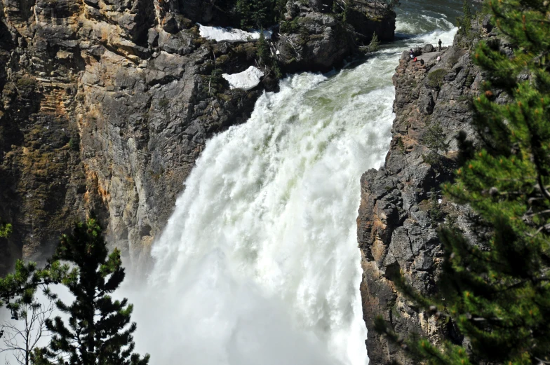 a group of trees are shown below a waterfall