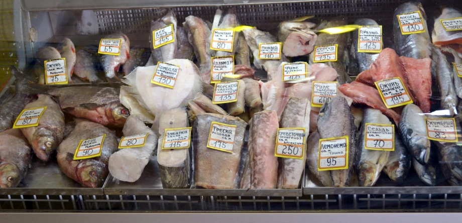 fish displayed in a large display case at a market