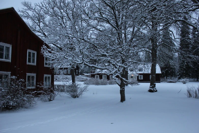 an outdoor area with snow covered trees and houses