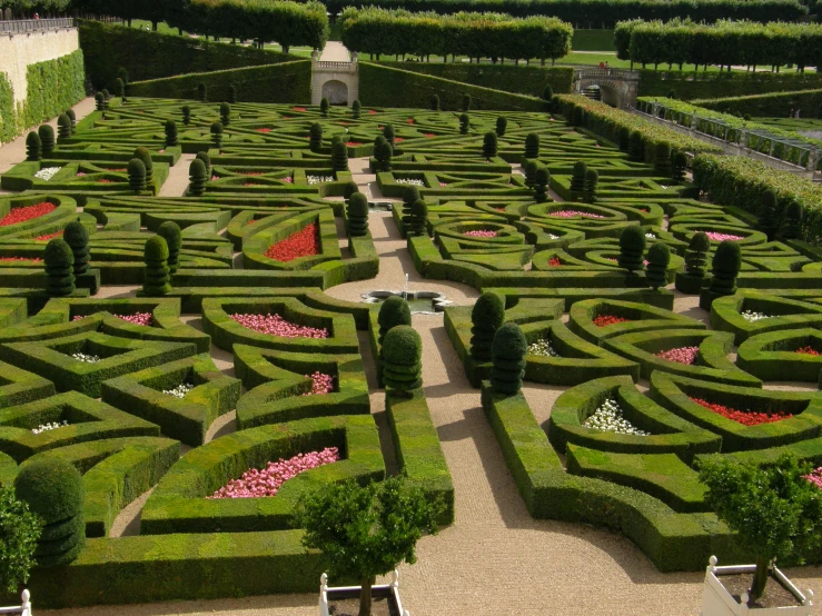 an ornamental garden with various plants and flowers on the ground