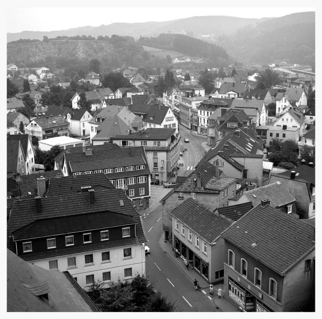 a cityscape, with roofs and a few trees